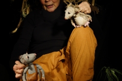 Löwe-10